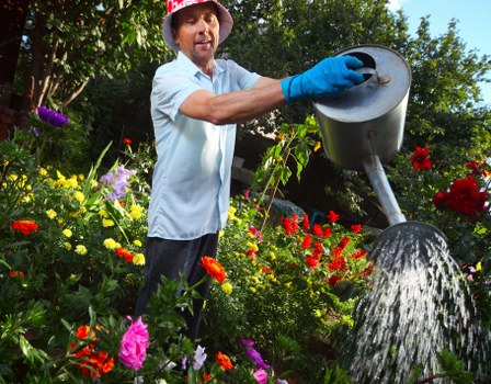 A man wearing a white shirt, blue gardening gloves, and a red hat is watering a garden filled with vibrant, colourful flowers and lush green foliage. The garden features a neatly maintained lawn area, bordered by flower beds with various flowering plants, including reds, pinks, and purples. He is standing in front of a backdrop of trees and shrubs, with sunlight filtering through the leaves, suggesting a bright, clear day. The scene captures a well-organised outdoor space that may be part of a private garden or a professional landscaping setup, emphasizing the importance of regular watering and garden maintenance. This setting aligns with gardening services offered by Lawn Mowing Parsons Green, serving the local Parson's Green area in London, SW6, and reflects the natural beauty and horticultural care typical of the region's outdoor environments.