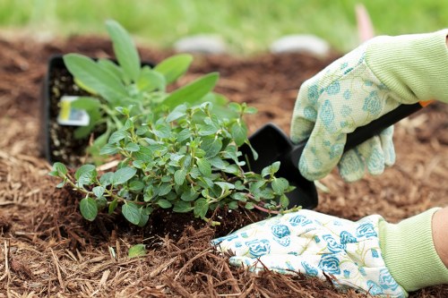 Gardener in Parsons Green preparing green waste for recycling