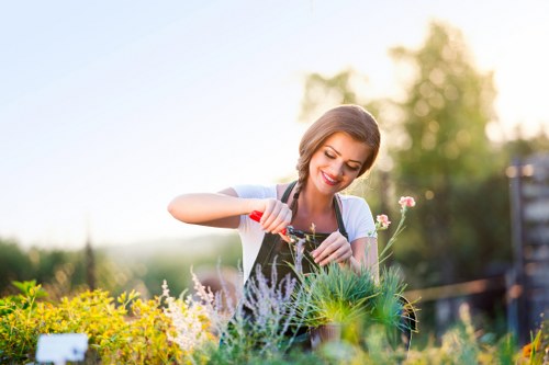 Seasonal lawn maintenance by experts in Parsons Green