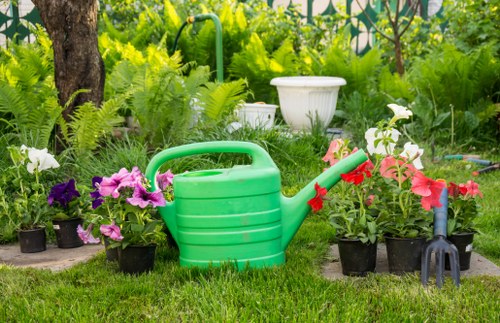 Lush green lawn in Parsons Green following professional mowing