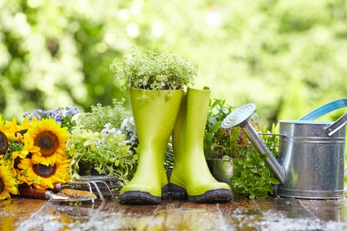 Professional lawn care services enhancing a Parsons Green garden